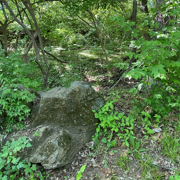 Meet your Posher, J - Picture 1 of 1